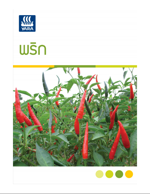 chili