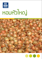 onion