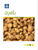 potato