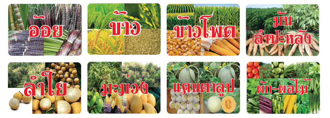 total product