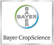 bayer