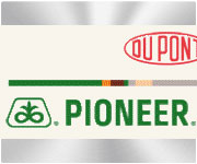 pioneer