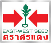 sondang