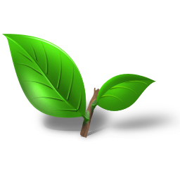leaf