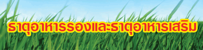 ธาตุอาหารรองและธาตุอาหารเสริม