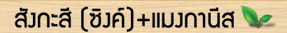 สังกะสิ (ซิงค์+แมงกานีส)