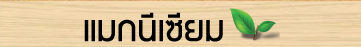 แมกนีเซียม
