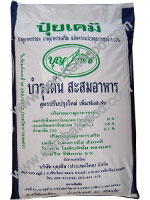 บุญพืชบำรุงต้น