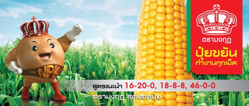 corn