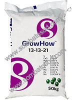 13-13-21 growhow