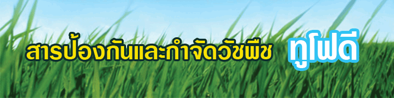 ยาฆ่าหญ้า-ทูโฟดี