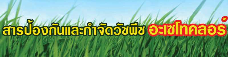 ยาฆ่าหญ้า-อะเซโทคลอร์