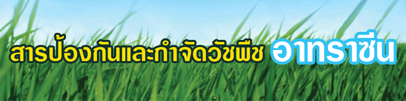 ยาฆ่าหญ้า-อาทราซีน