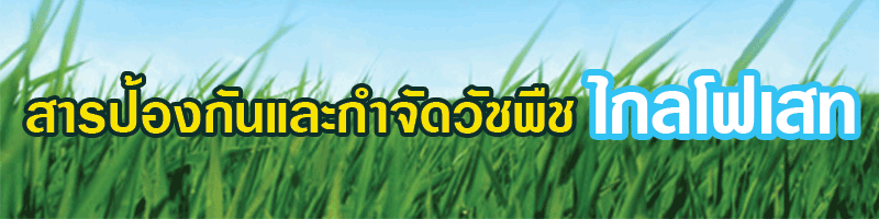 ยาฆ่าหญ้าไกลโฟเสท