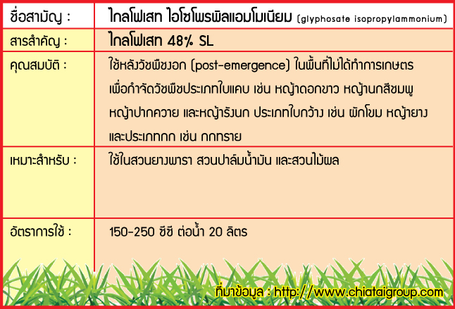 ไกลโฟเสทวันอัพ