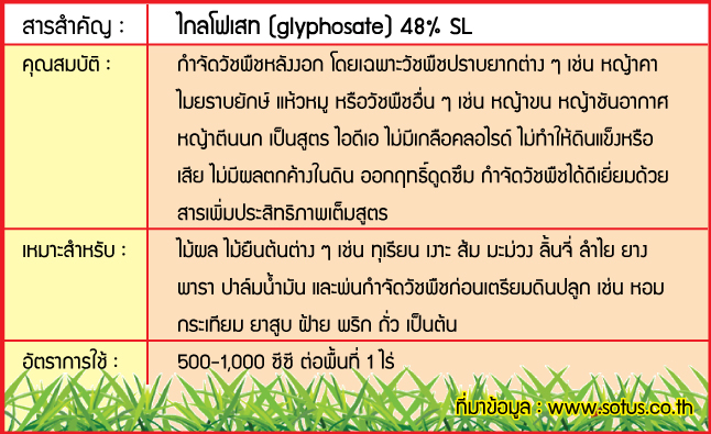 ไกลโฟเสทโซตัส